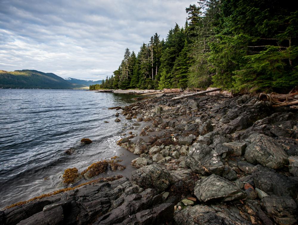 Tongass National Forest, Alaska