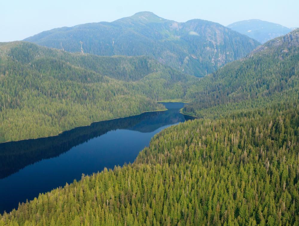Green, wooded slopes in foreground and background with dark blue waterway running between them into the distance, Tongass National Forest, Alaska