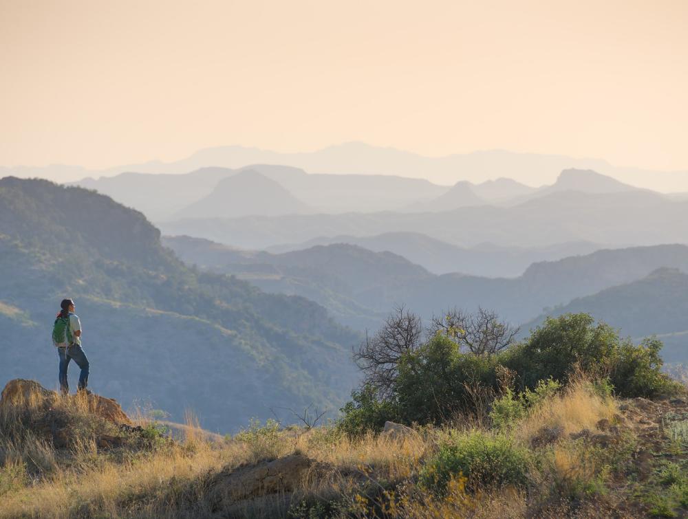 Coronado National Forest, Arizona