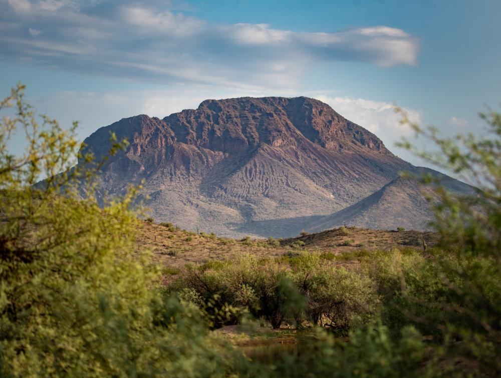 A rounded mountain surrounded by clouds with green foliage in the foreground.