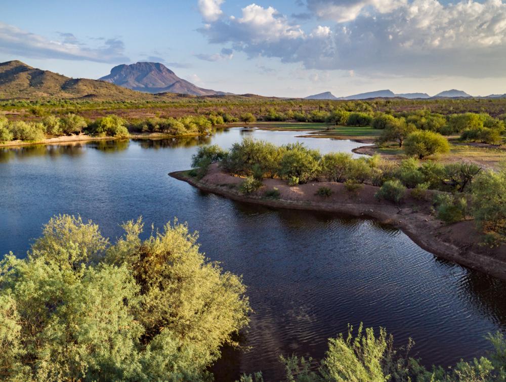 A pond in the desert surrounded by green foliage with mountains in the background.