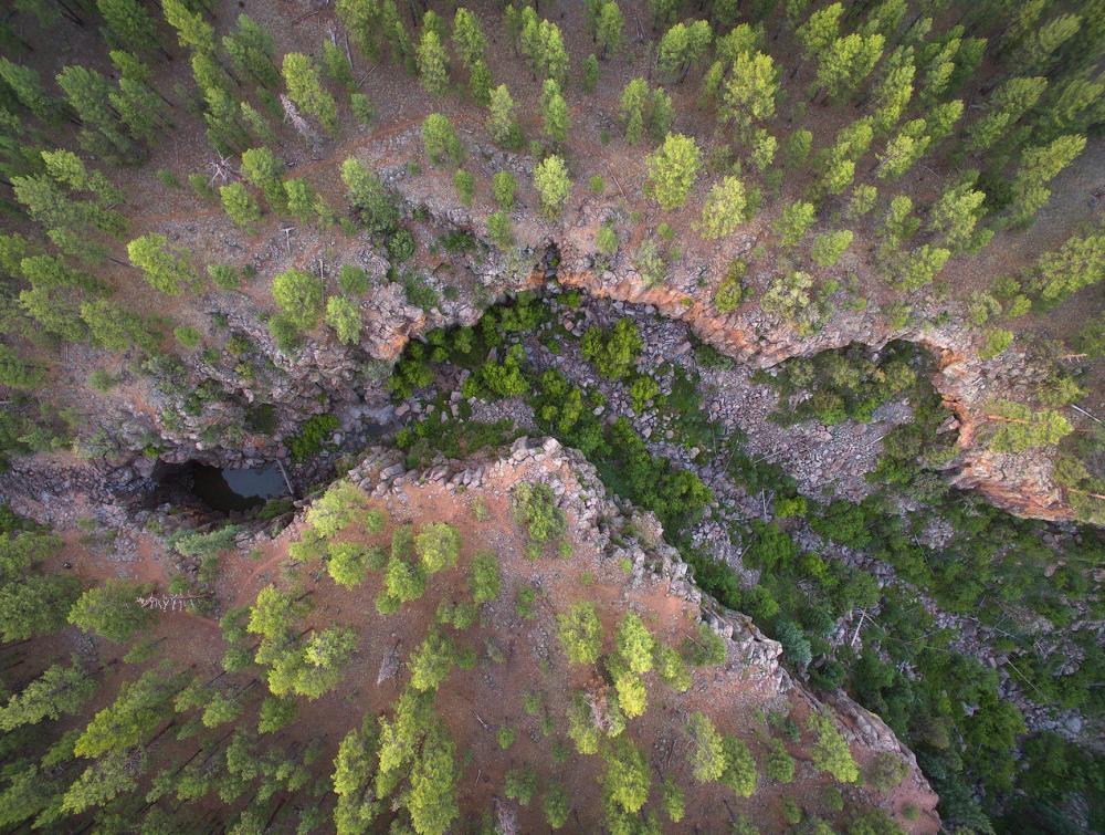 Kaibab National Forest