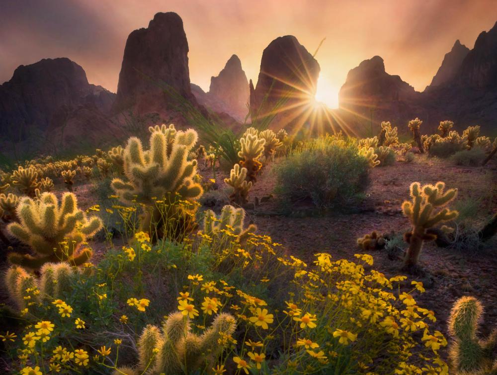 Kofa National Wildlife Refuge, AZ