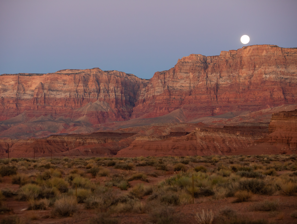 moonlight over red canyons