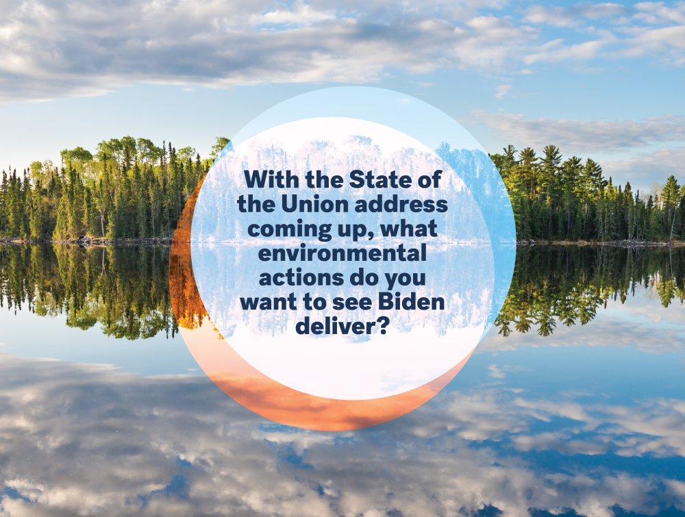 BidenPollBlog_2