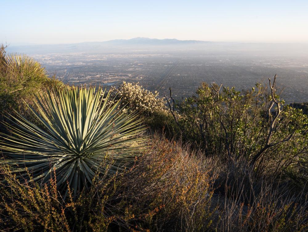 A view of the San Gabriel Mountains from the San Bernardino National Forest