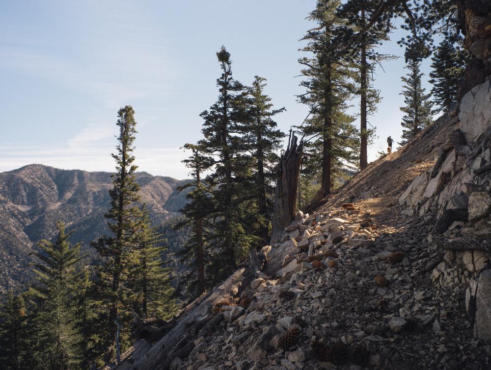 Hiker on steep San Gabriel Mountains trail