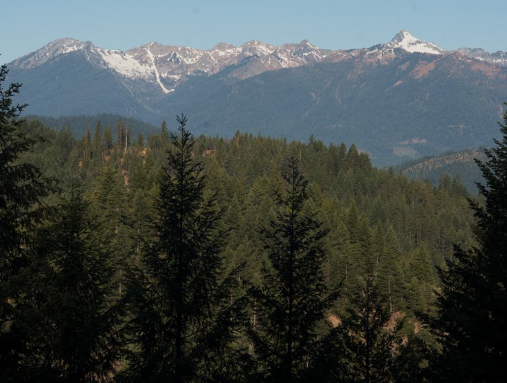 Shasta-Trinity National Forest was established by President Theodore Roosevelt in 1905. 