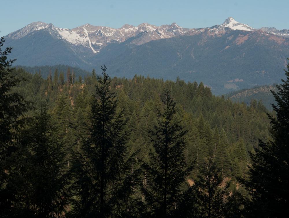 The Shasta-Trinity National Forest, the largest in California, includes five wilderness areas.