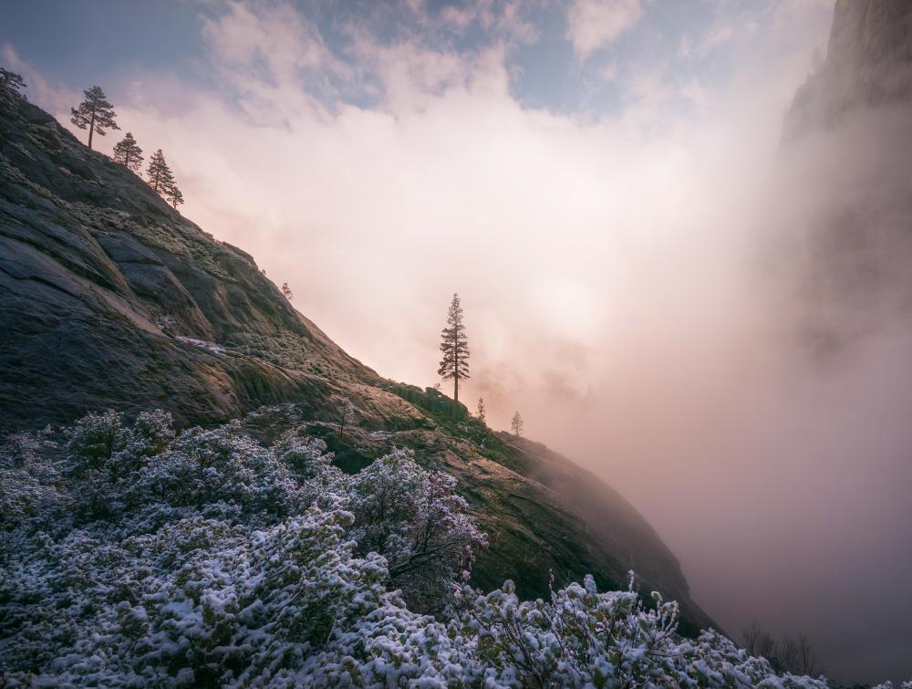 Yosemite National Park