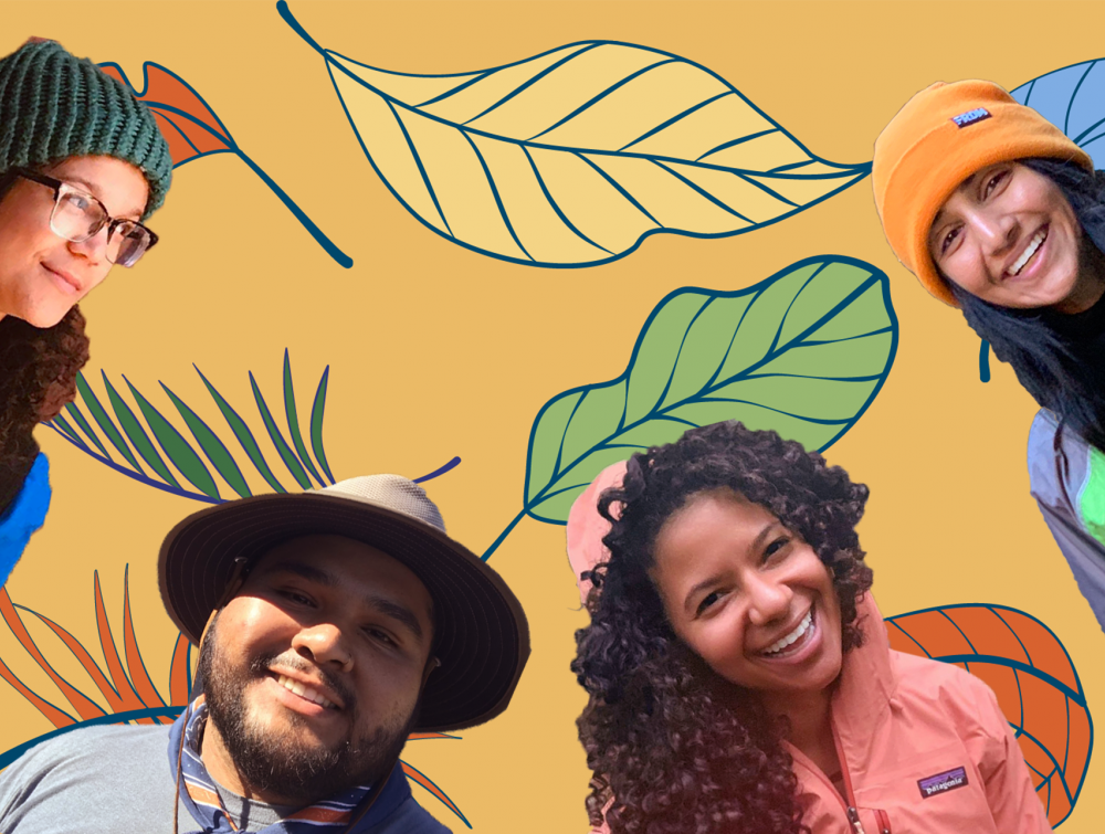 Four Climate Justice Activists on Social Media