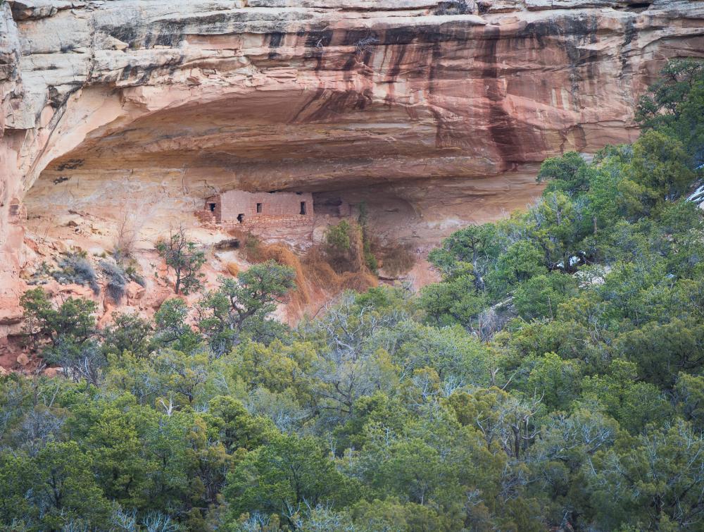 Ruins in Canyons of the Ancients National Monument, Colorado