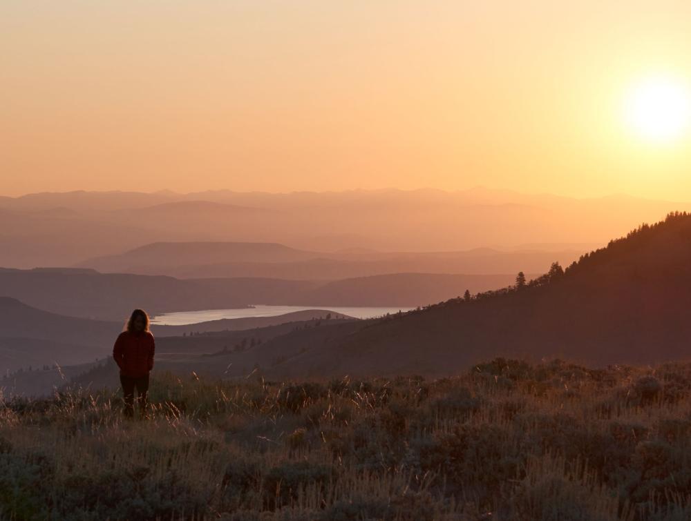 Gunnison National Forest, CO