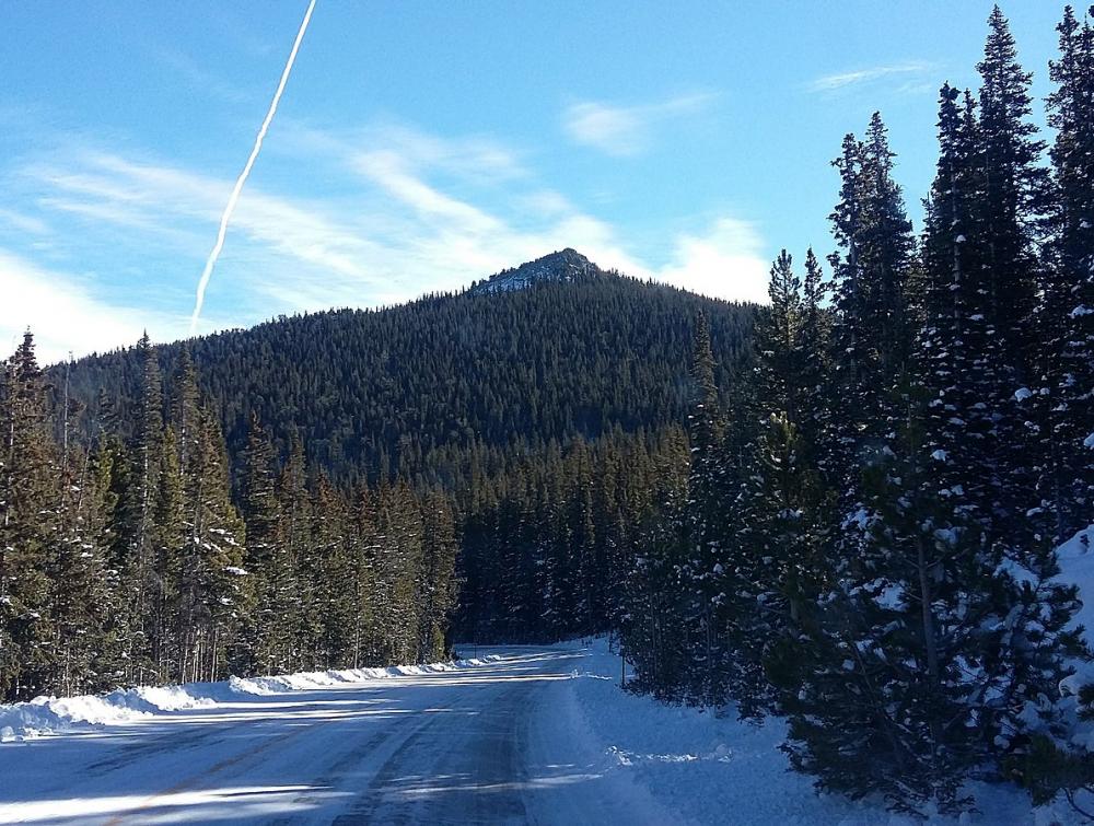 Snowy road surrounded by trees with Mestaa’ėhehe Mountain on the horizon