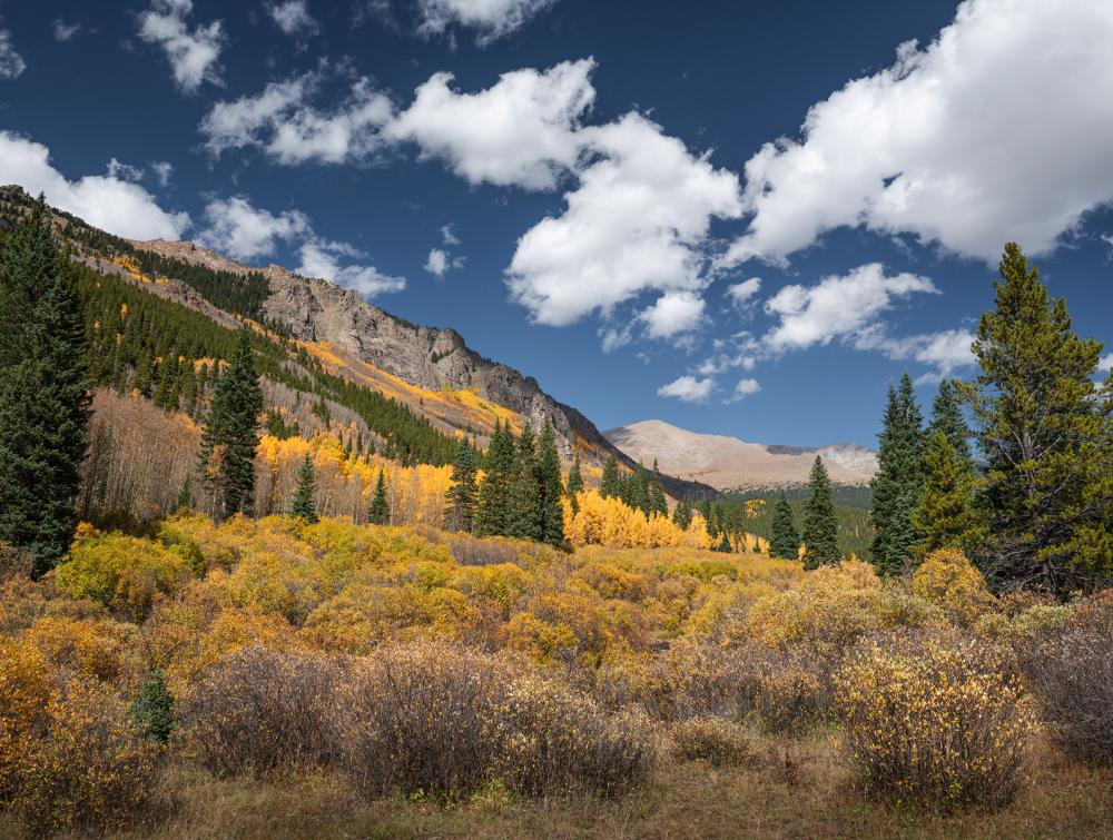 Autumn colors in Mount Evans Wilderness, CO.