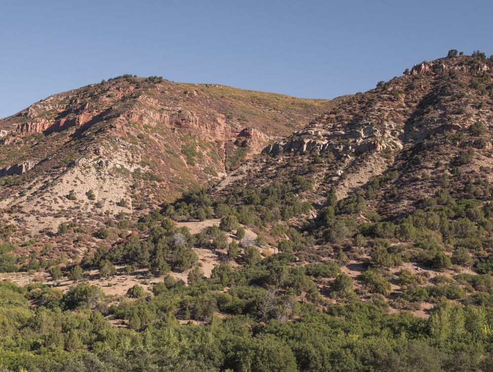 North Fork Valley, CO