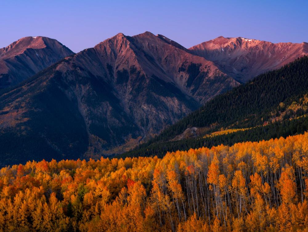 Light orange trees and dark mountains in San Isabel National Forest, CO.