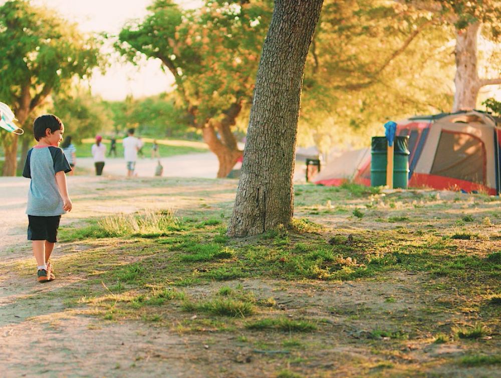 Los Angeles County park camping program