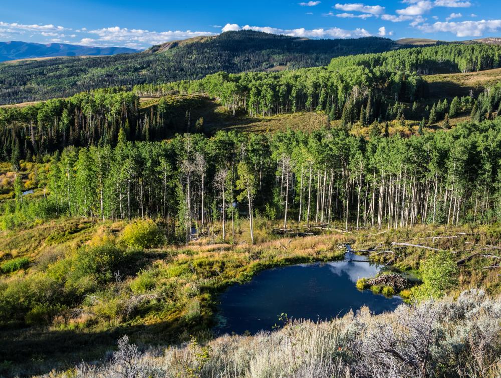 Castle Peak Wilderness Study Area in Colorado