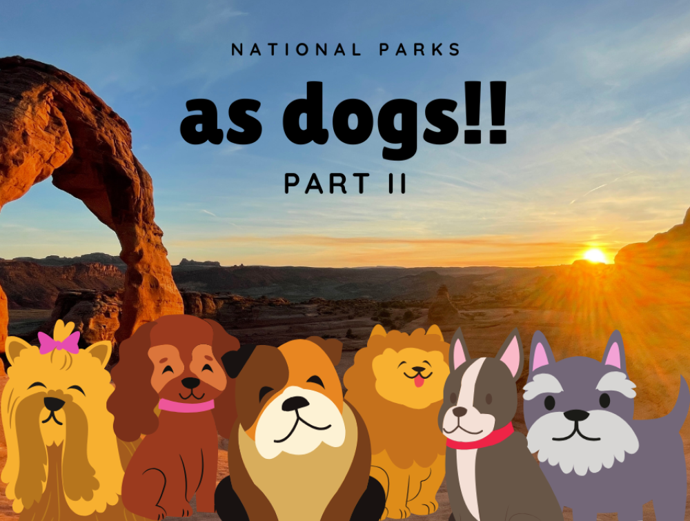graphic of arches national park and dogs 