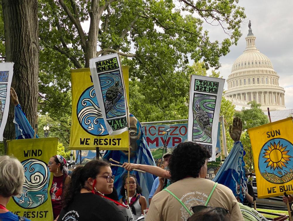 Protesters holding signs with trees and the capitol dome visible in the background