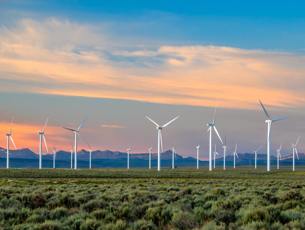 Wind turbines in a field with a chain of mountains on the horizon behind them