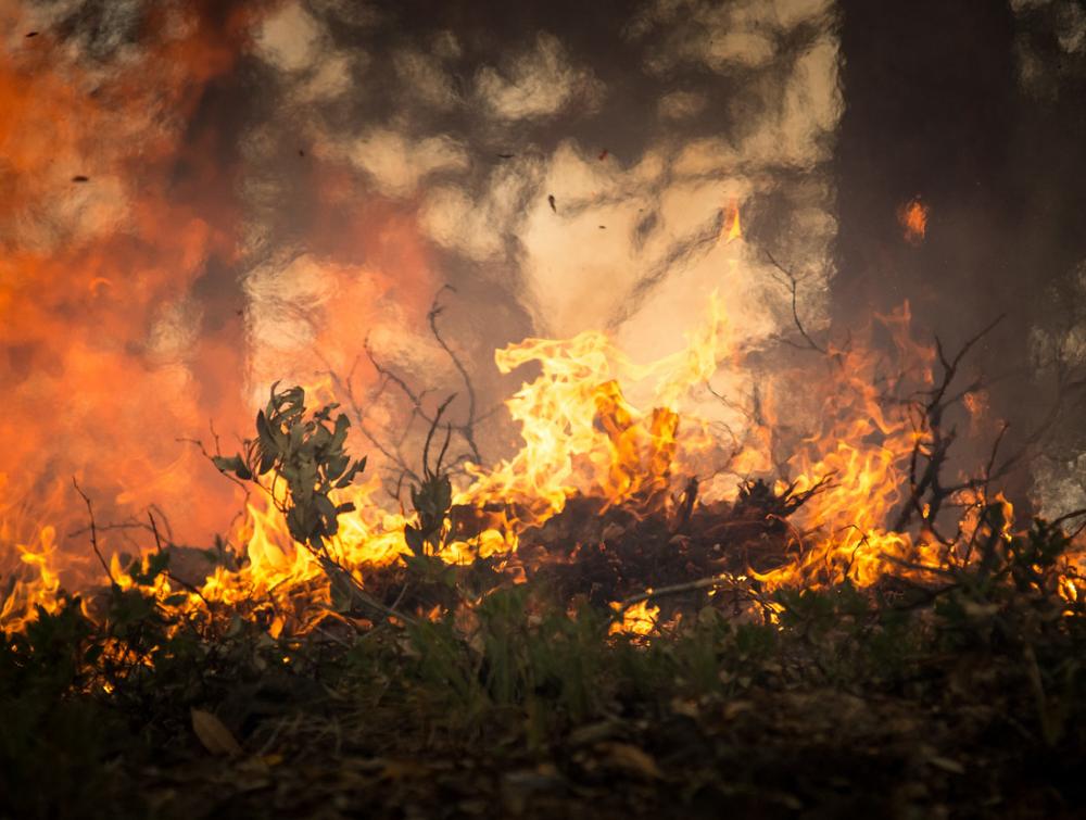Wildfire in Big Windy Complex 