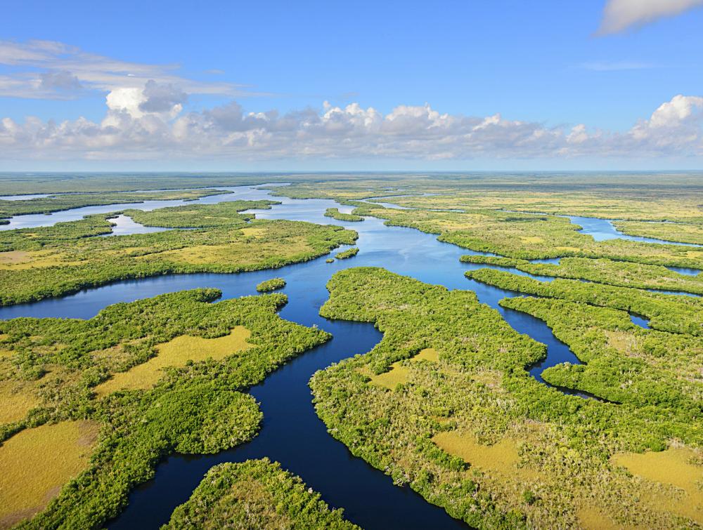 As one of the largest parks in the country, the Everglades are a unique tropical wetland. 