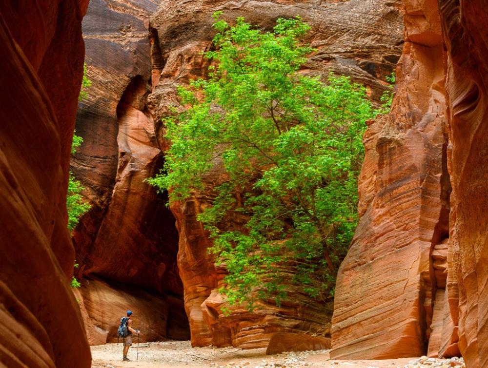 A hiker in a canyon at Grand Staircase-Escalante