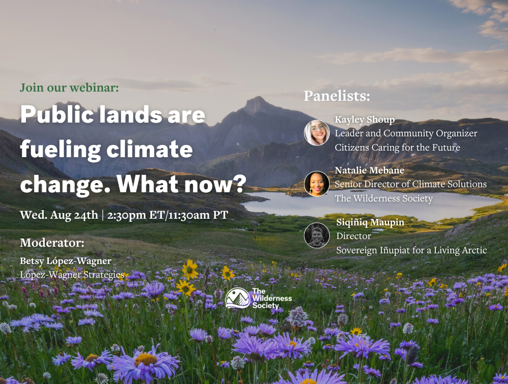 A promotional graphic with text in front of a landscape. Text reads: Join our webinar: Public lands are fueling climate change. What now? Includes names of the moderator and panelists.