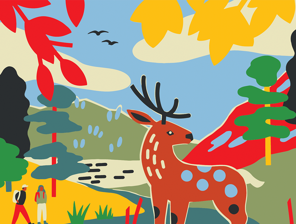 A colorized cartoon of nature, featuring many animals and brightly colored plants.