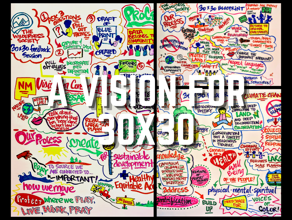 "A vision for 30x30" text is labeled on top of a visual representation of the process, vision and blueprint of this plan.
