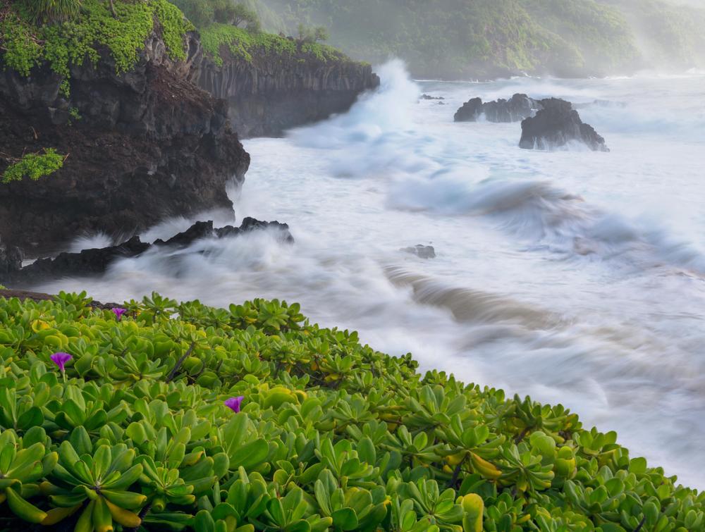 Haleakala National Park, HI