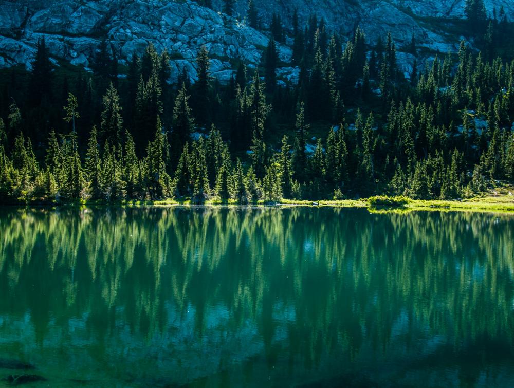 Rows of evergreens reflected in blue-green lake with rock face in the background