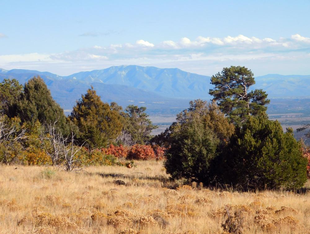 Cerro de la Olla