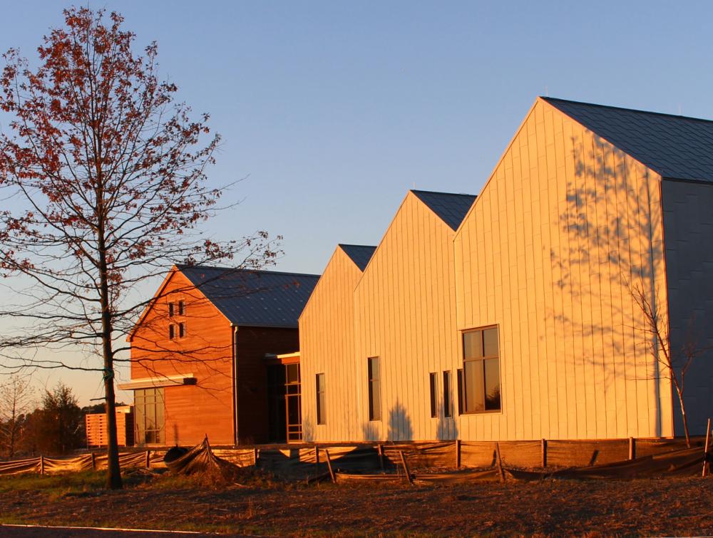 Several low buildings and a near-bare tree lit by sunrise