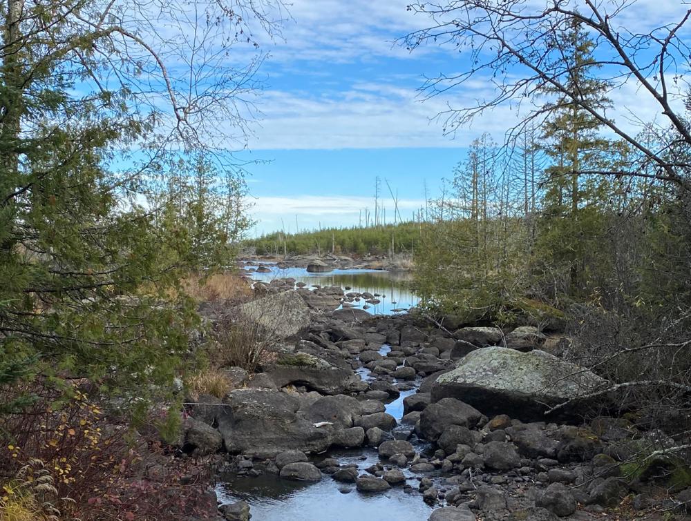 Rocky creek with trees and underbrush on either side and a clearing in the middle distance