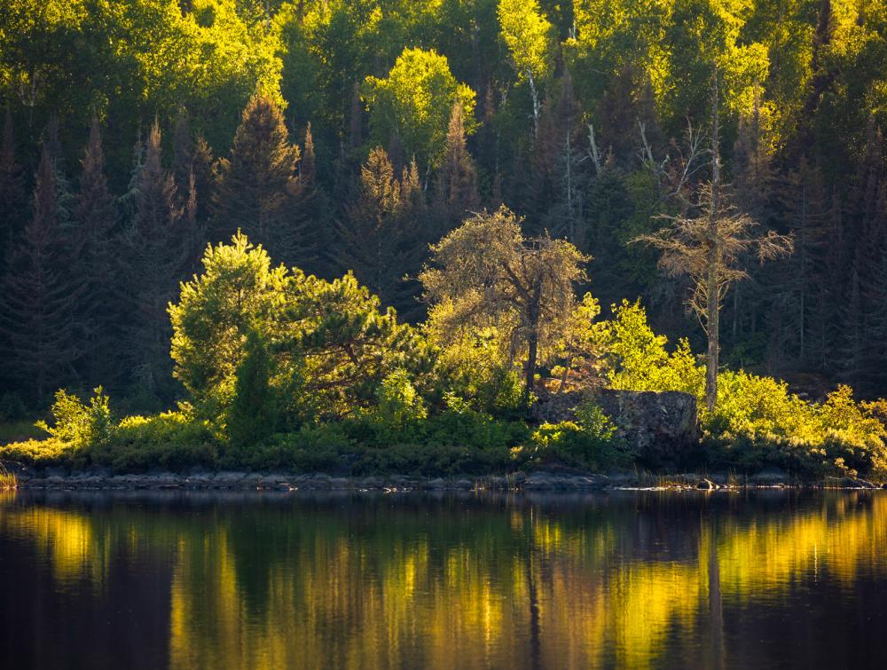 Tree-covered island bathed in sunlight, with image reflected in lake surface. Shoreline with larger forest is visible in the background.