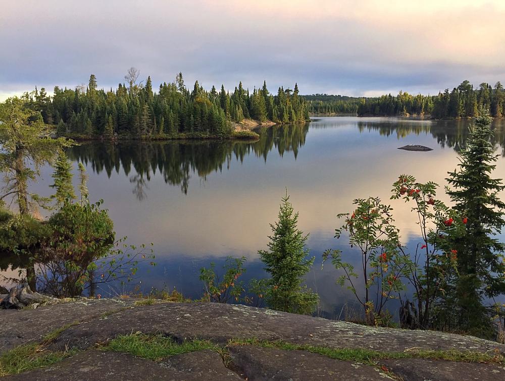 Light reflecting off lake surface with evergreen trees in foreground and background in Boundary Waters Canoe Area Wilderness, Minnesota