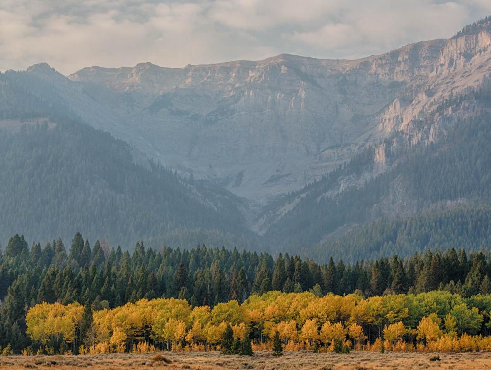 Centennial Mountains Wilderness Study Area, Montana.