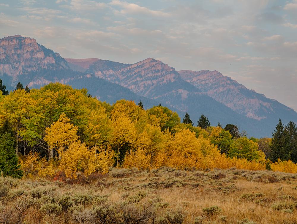 Centennial Mountains Wilderness Study Area, Montana