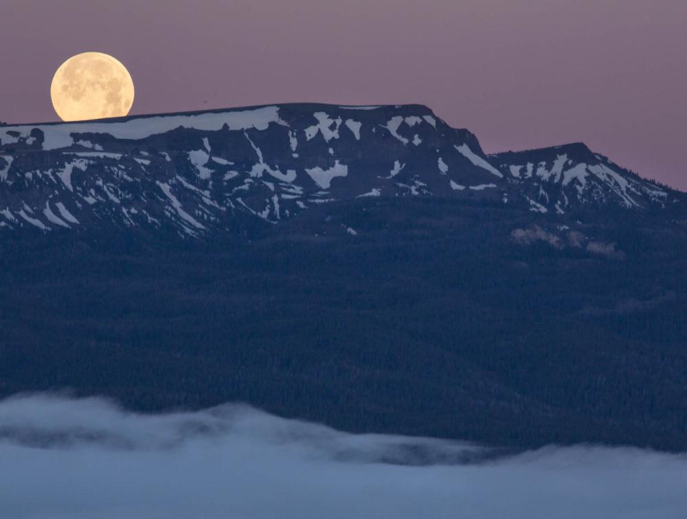 Centennial Mountains Wilderness Study Area, Montana.