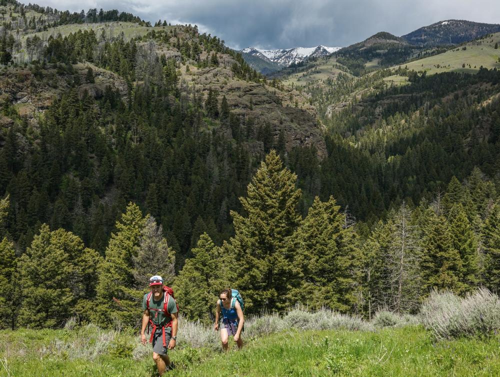 Hikers in Gallatin National Forest, MT