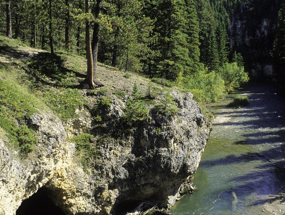 Blunt rocky cliff overlooking shallow stream with evergreen trees in the background