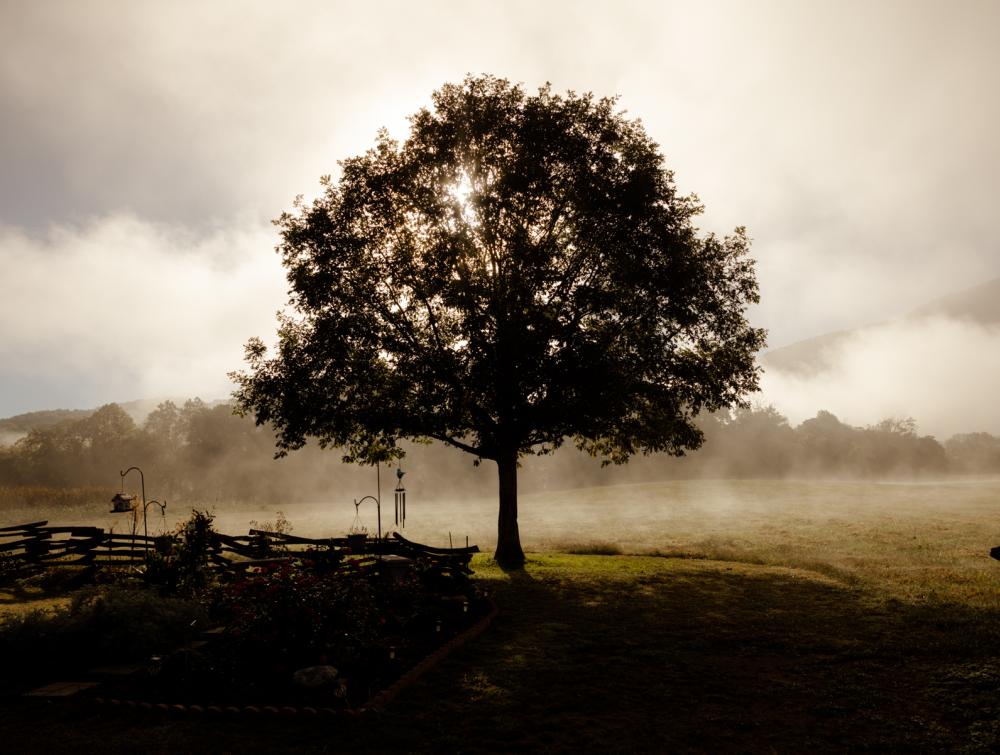 O-s-da Tsu-na-le (Good Morning) Ancestors’ place, Ki-tu-wah Mound greets a new day. 