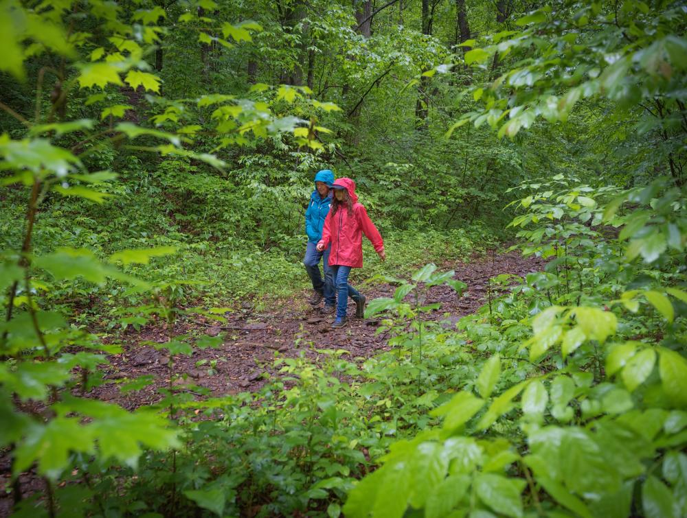 Hikers in the Craggy Mountains area of Pisgah National Forest, NC