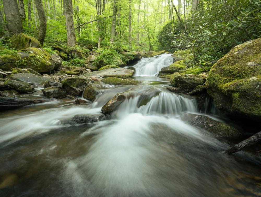 Pisgah-National-Forest, North Carolina