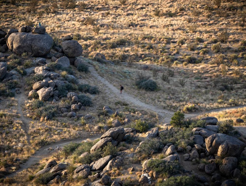 Foothills of the Sandia Mountains