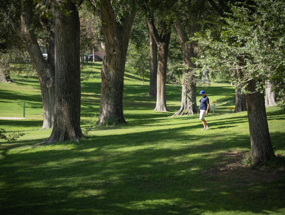 Person walking in shady green park.