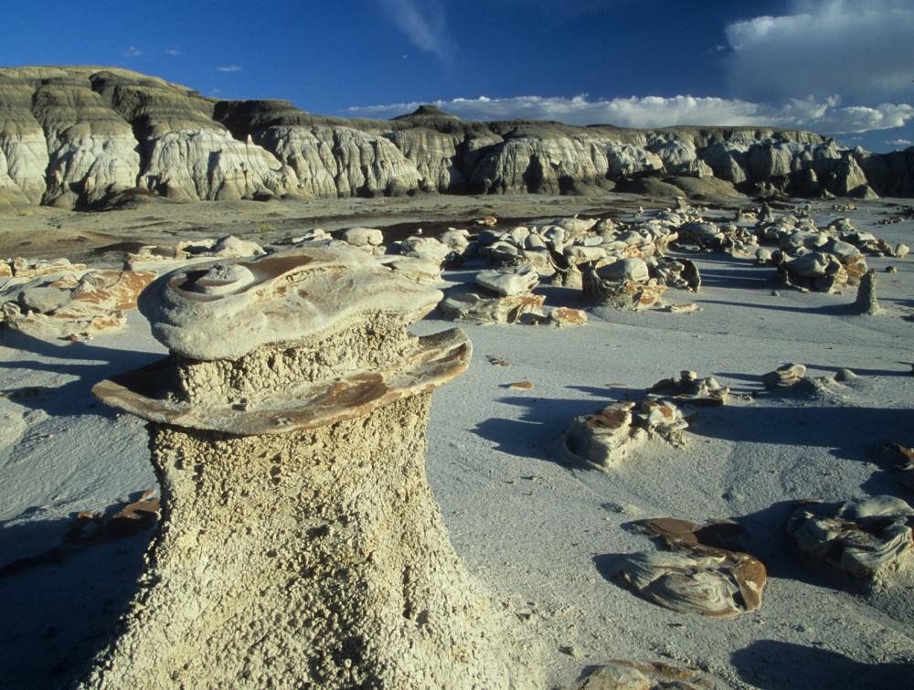 Hoodoos in Bisti/De-Na-Zin Wilderness, New Mexico